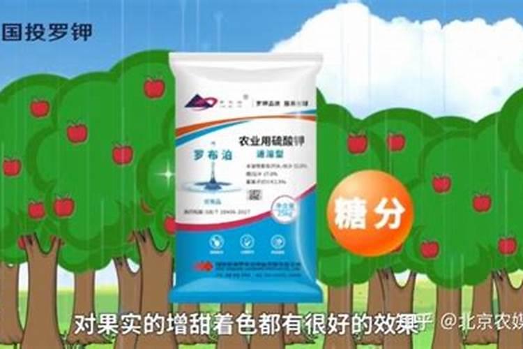 罗布泊硫酸钾中的钾元素对苹果生长的关键作用体现在哪些方面？