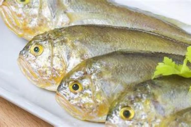 鱼类营养成分检测脂肪酸、维生素、氨基酸、矿物质等物质