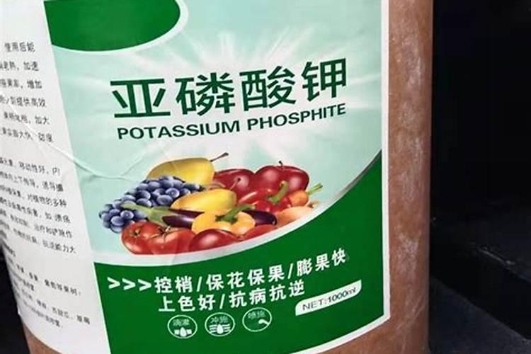 高氮缓释液体肥加亚磷酸钾喷施番茄能彭果吗？