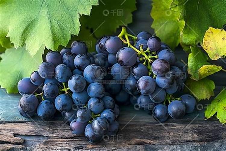 葡萄处于较小状态就转色,然后发生掉落,是什么缘故？