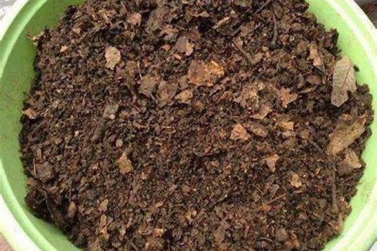 腐殖酸能用来养花吗为什么不能用？