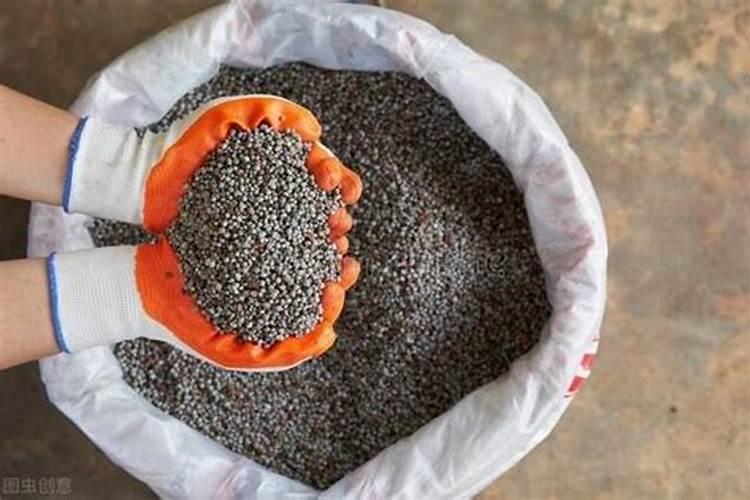 玉米最怕三种肥料