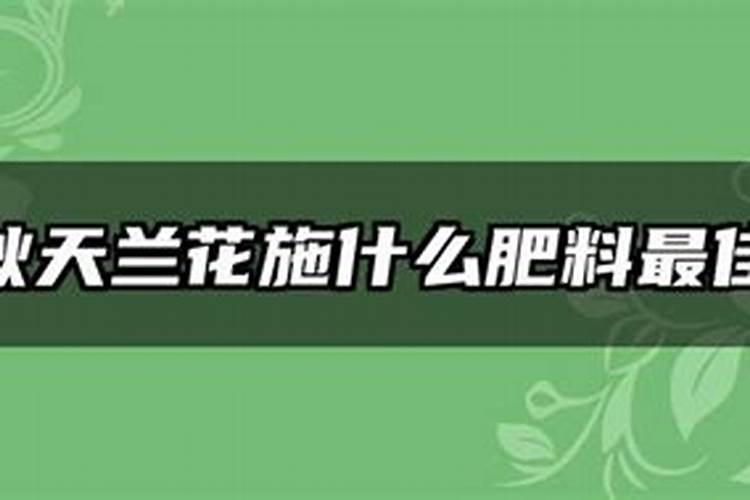 秋天兰花施什么肥料最佳