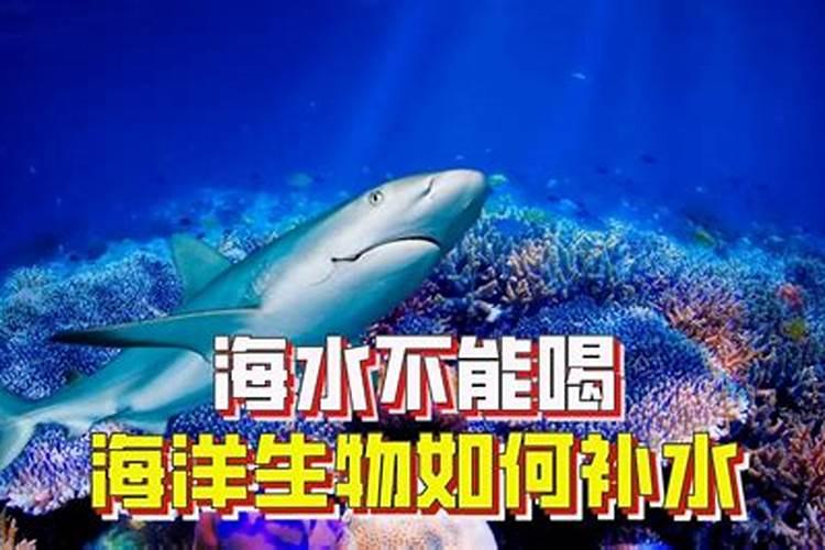 海水为什么不能喝？