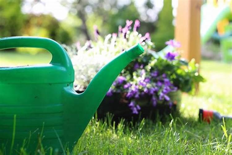 给家里的花浇水的时候,磷酸二氢钾一克需要兑多少水？