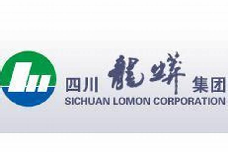 龙蟒集团是不是国企