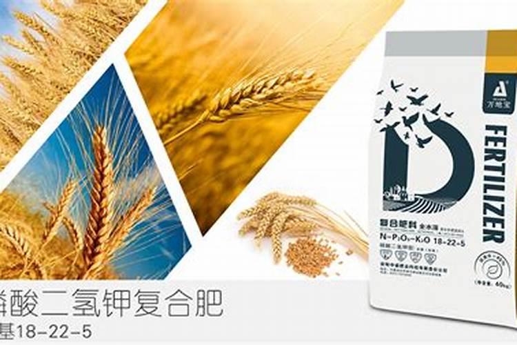 小麦用平衡肥好还是高氮肥好些？