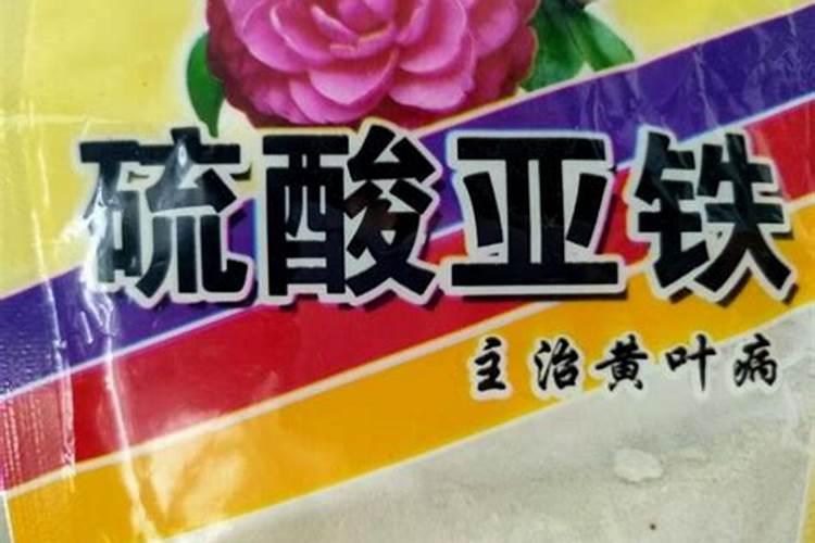 硫酸亚铁药片能做为花卉肥料吗？