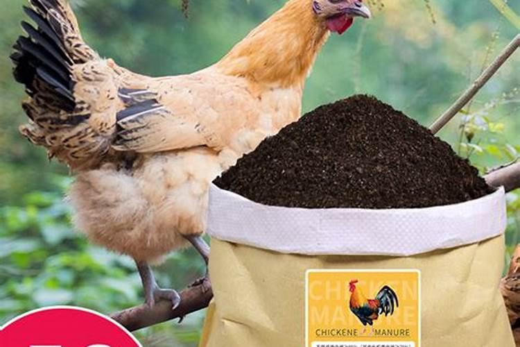 鸡粪肥适合给哪些植物施肥