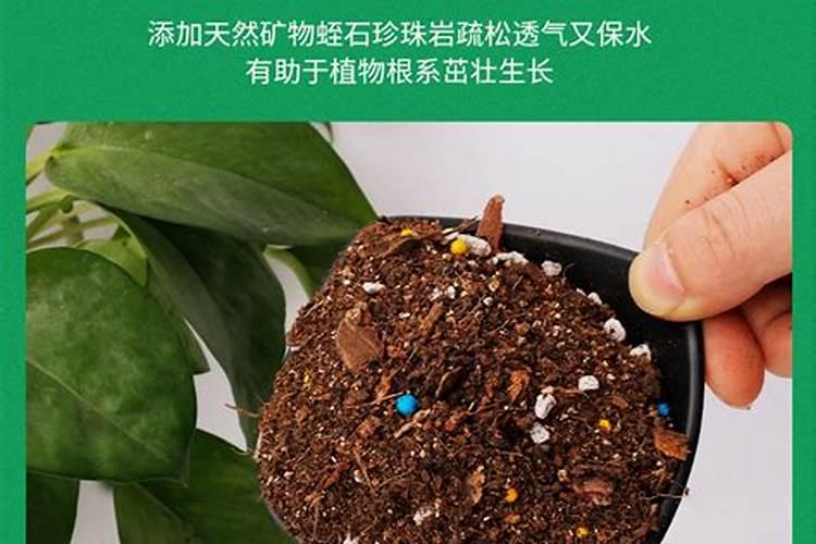 种花一般用什么肥料比较好呢、养花通用肥料