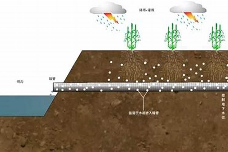 盐碱地土壤用冲施肥可以改善吗