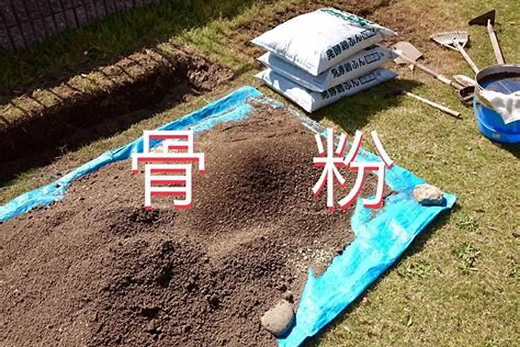 骨粉肥料使用方法