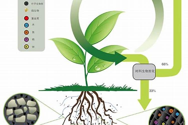 肥料原子吸收用途