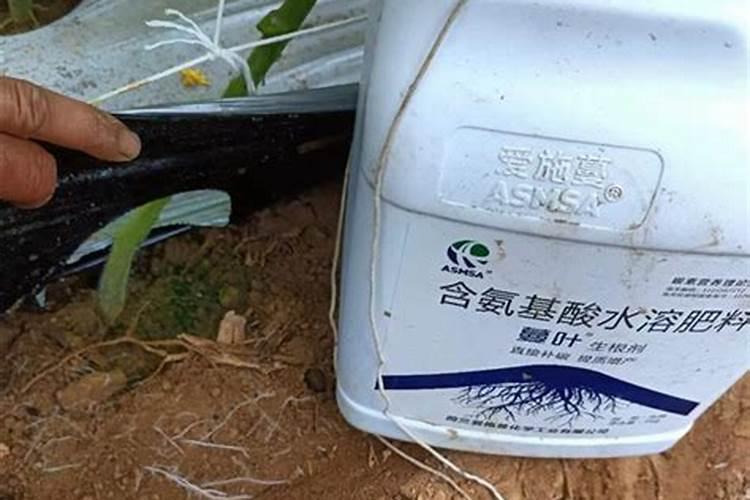 生根剂能与硫酸钾冲施吗