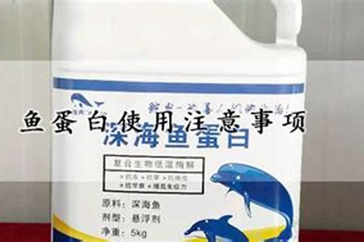 鱼蛋白使用注意事项