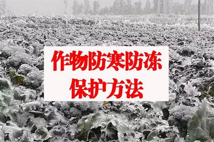 用于农作物防冻害的药物具体是哪些？
