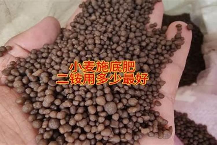 小麦底肥用二铵多少合适