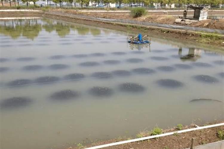 钙镁钾与微量元素在河蟹养殖池塘中能混合使用吗？