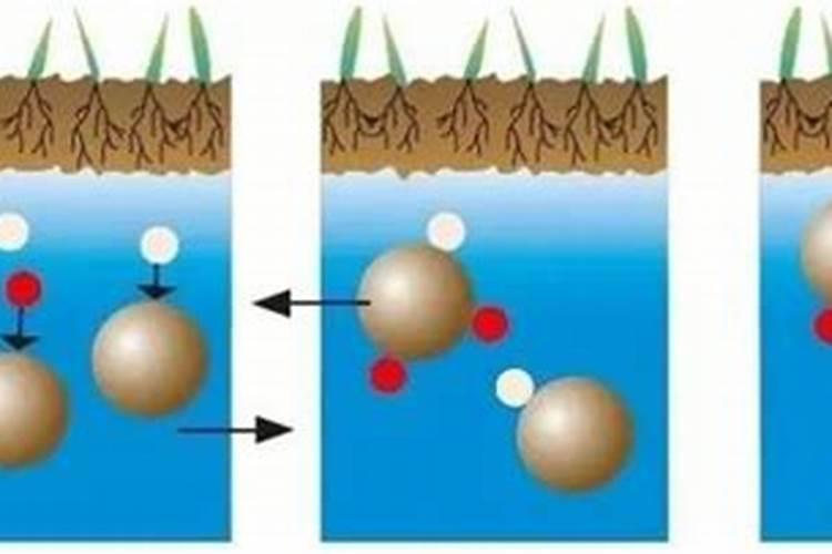 霍林河有腐殖酸厂家吗在哪？