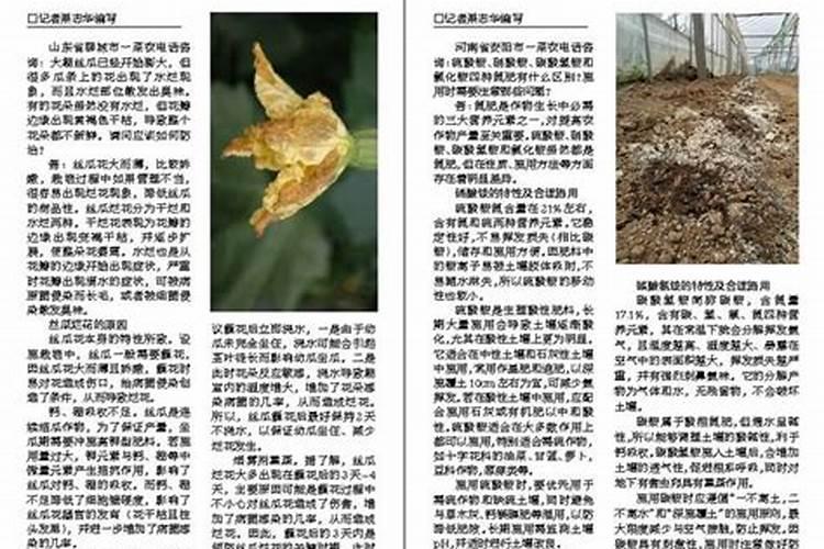 碳肥和氮肥有什么区别