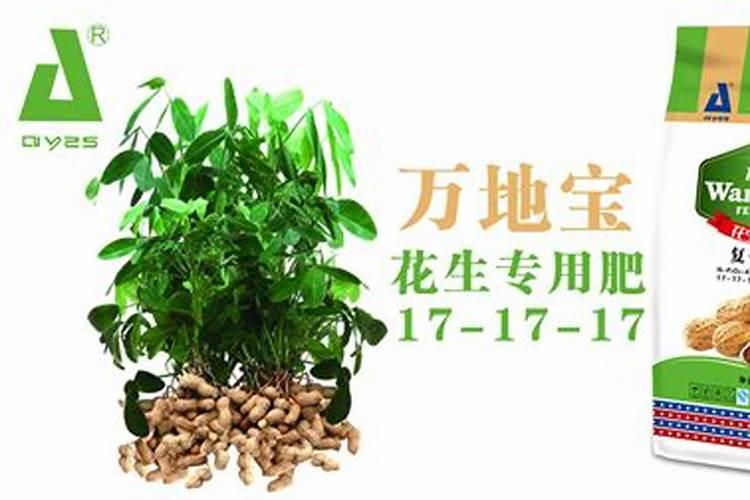 花生用什么肥料让它多结果