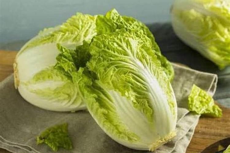 白菜发黑是怎么了