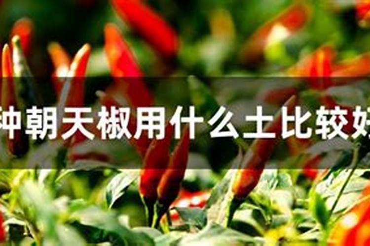 朝天椒用什么含量的化肥比较好,请各位老师给指导一下,谢谢了
