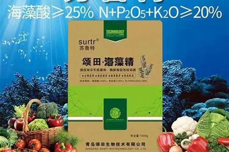 最好海藻肥？