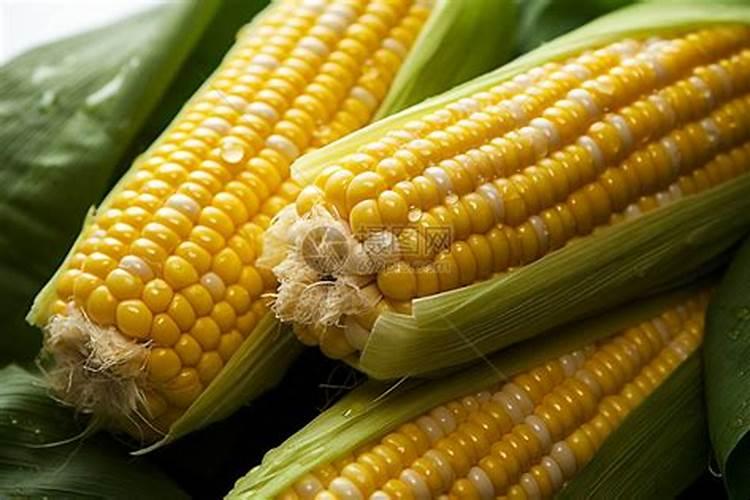 玉米打玉黄金过量了怎么办