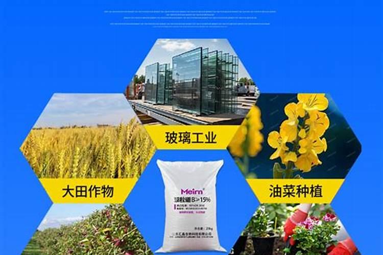 小麦田用颗粒硼肥行吗怎么用？