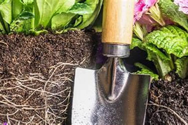 气温低于多少度不能施肥？