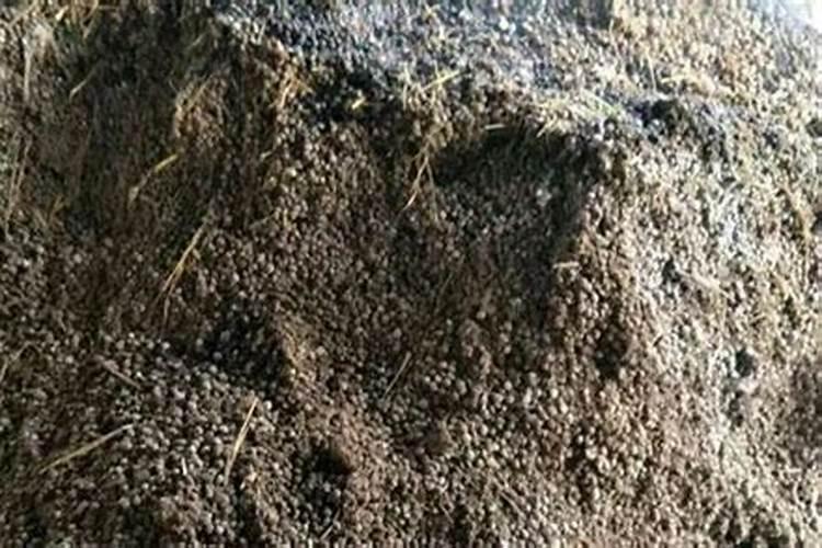 腐熟的有机肥几天见效