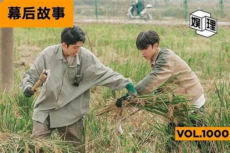 种地真的丢人吗？我有份技术员的工作,但是我现在想回家搞蔬菜大棚,我...