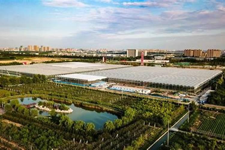 潍坊有哪些化肥厂