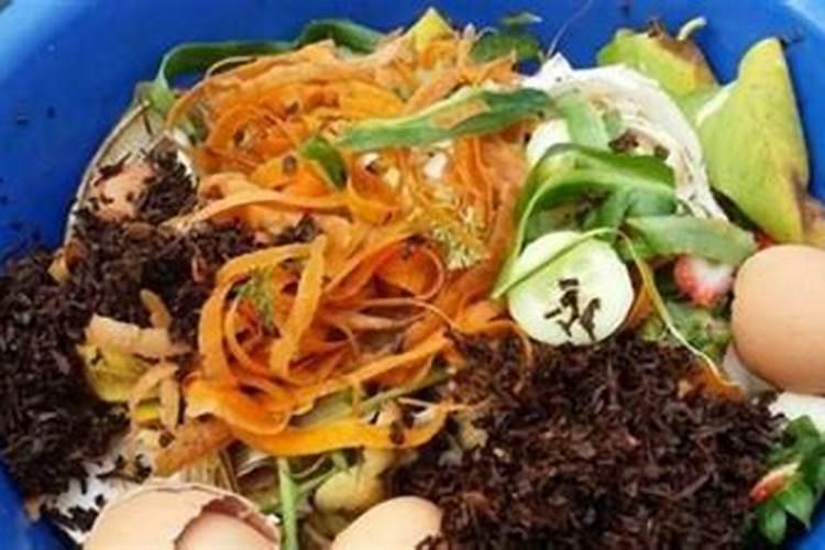 如何自制文竹肥料