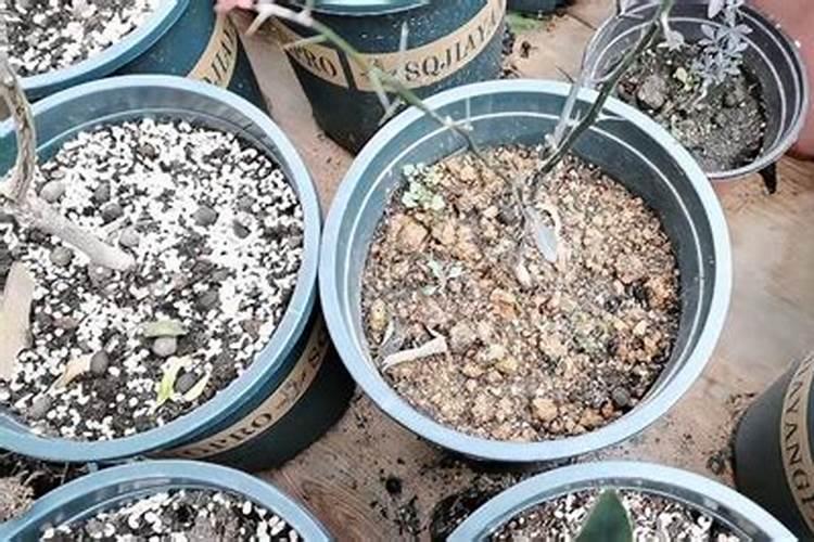 如何自制氮肥磷肥