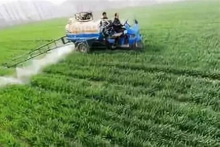 磷酸一铵能不能做叶面肥喷施