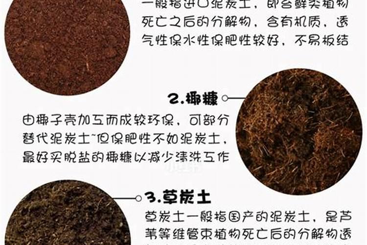 养花什么土最好呀？
