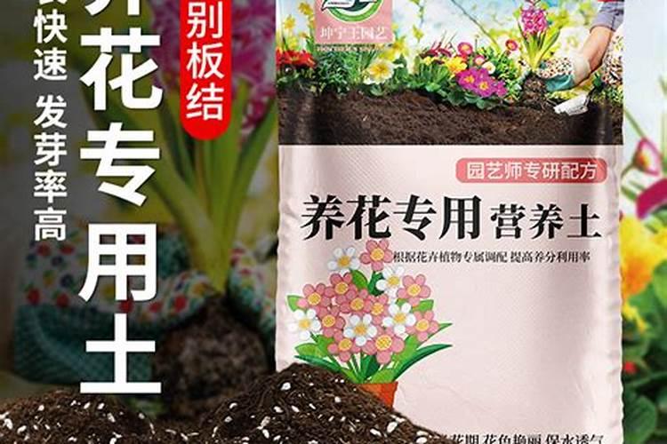 养花买什么营养土最好？