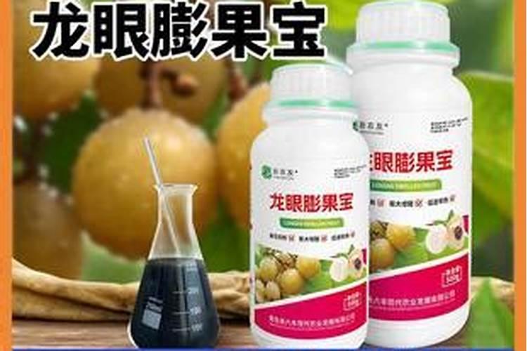 龙眼叶面喷什么好？如何帮助龙眼增甜？