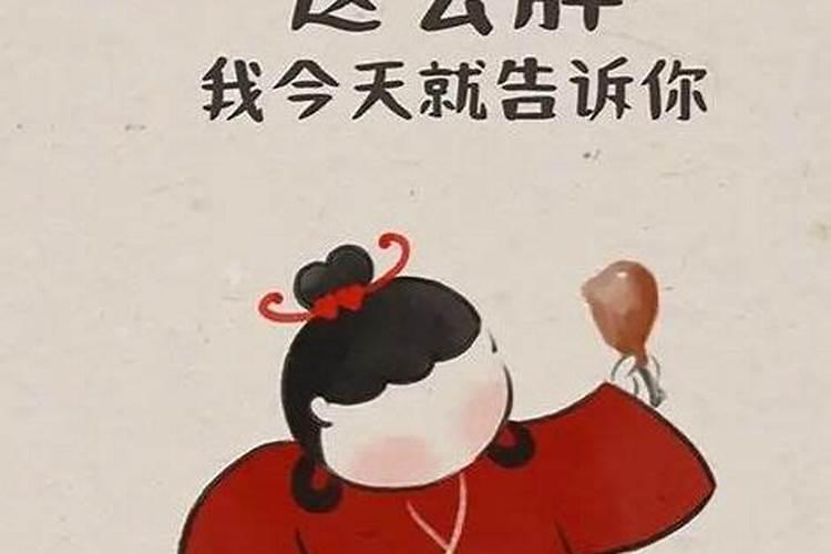 肥宅到底是什么意思