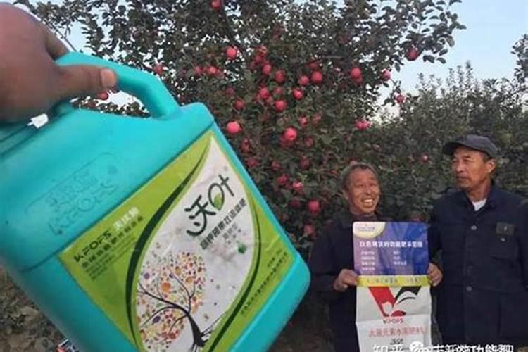 果树冲施肥多久用一次,冲施肥与水溶肥的区别,冲施肥的效果怎么样？