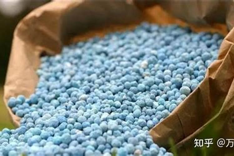 三天绿油油？内行告诉你,这种速效肥料千万别用!