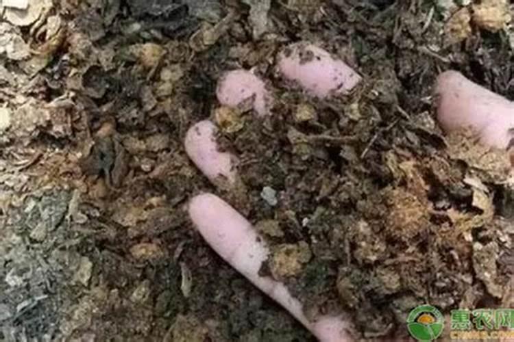 什么是腐殖质？