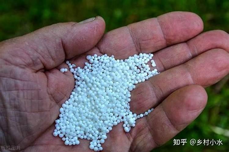 别再错误的施肥了!老农教你正确的施肥方法,尿素肥效翻倍