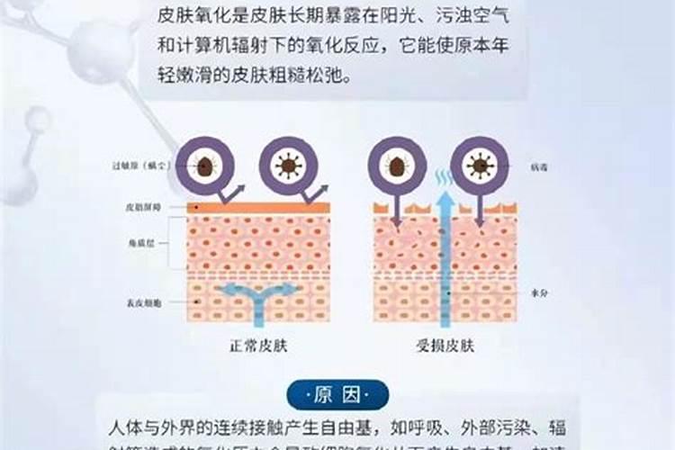 瑞士研究证实螯合技术可阻环境污染致皮肤氧化