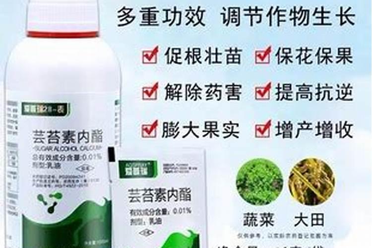 芸苔素能促进生根吗