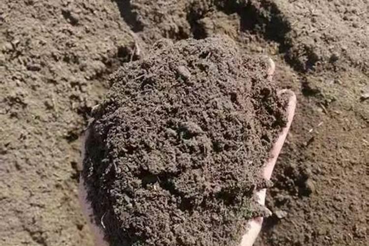 微量元素肥的性状是什么样的？