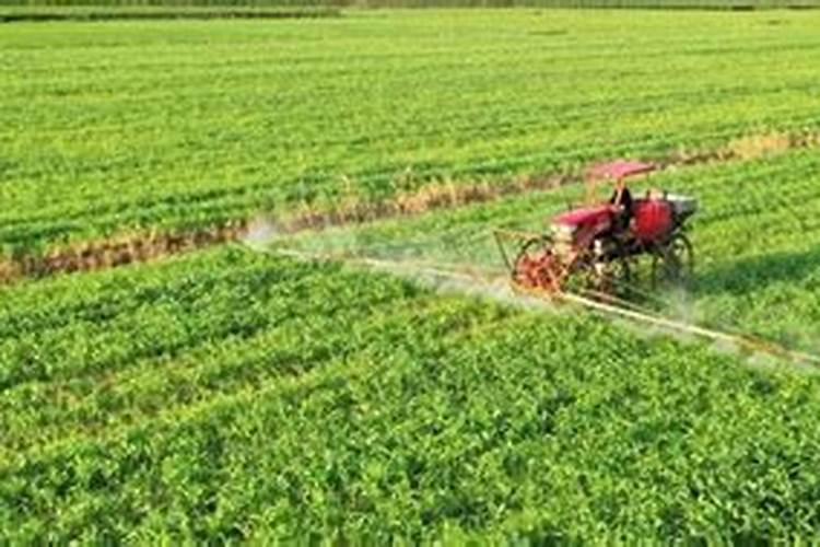 大豆田喷苗后除草剂。带尿素好还是带奈安好？