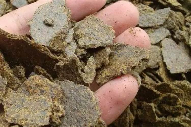 菜籽饼发酵水溶肥有效果吗怎么样？